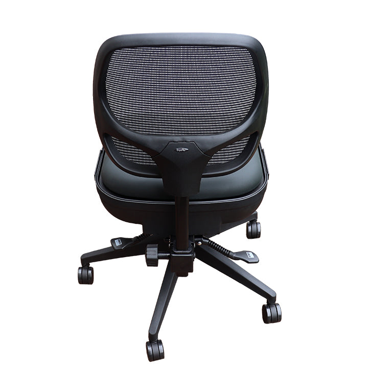 ErgoSport Active Ergonomic Office Chair